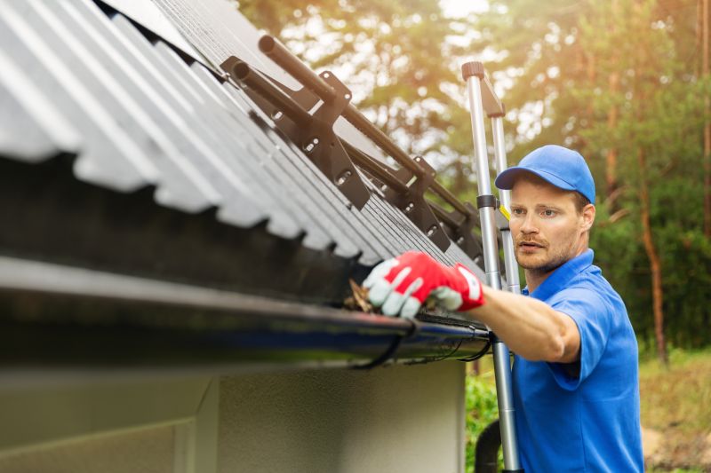 Gutter Maintenance Specialists
